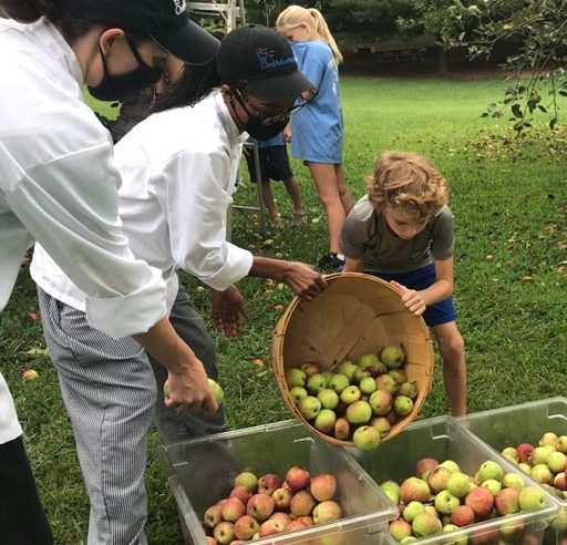 Chef with students picking apples