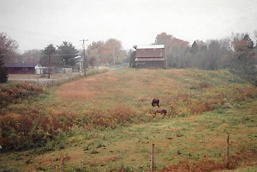 Early photo of the property that would become Tate;s School campus