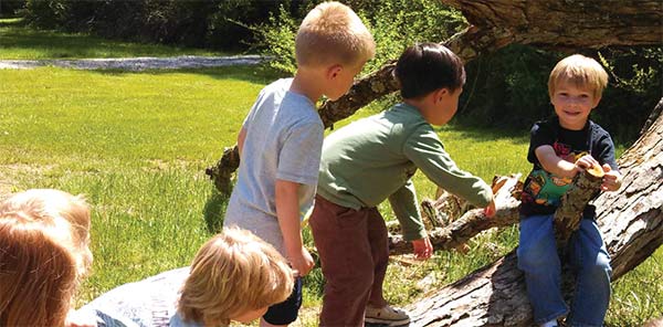 children climbing on tree