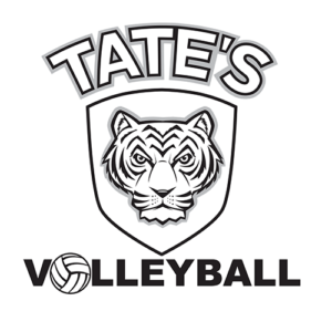 Volleyball-Logo