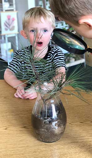 boys studying plant with magnifying glass